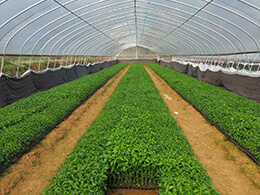 建設有機肥設備加工廠增加農場收入